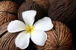 Leelawadee flower