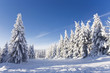 canvas print picture - schöner Wintertag
