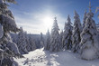 canvas print picture - schneebedeckt