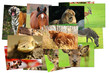 Fotogalerie 26 Fotogalerie 26