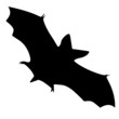 Fledermaus