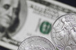 Silver coin, dollar banknote