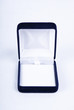 Gift box for the ring