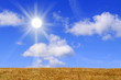 feld,sonne