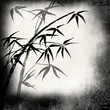 Grungy Background.old paper with bamboo branches