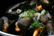 Moules préparées