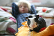 Junge mit Meerschweinchen 1
