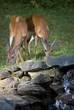 Waterside meal