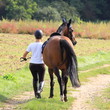 Foto: Balade à cheval Balade à cheval
