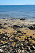 rocky coastline
