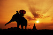 Photo en ligne au meilleur prix Elephant silhouette