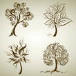 Vector set 5 of designs with tree from leafs. Thanksgiving