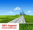 Very detailed 7000px city on horizon - Grass collection
