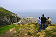 Family visiting Cape St. Mary's Bird Sanctuary in Newfoundland