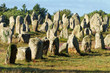 carnac monoliths in brittany, france carnac monoliths in brittany, france