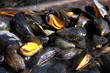 moules à la plancha