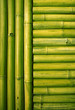 bamboo background
