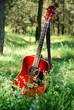 guitar acoustic in the grass guitar acoustic in the grass