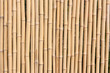 bamboo