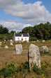 Carnac et ses mégalithes