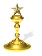 Cup with a star