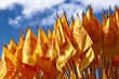 buddhist flags