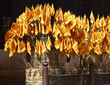 buddhist flags