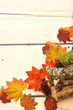 Herbstlaub