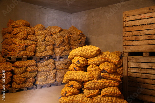 Photo: einlagerung von kartoffeln einlagerung von kartoffeln