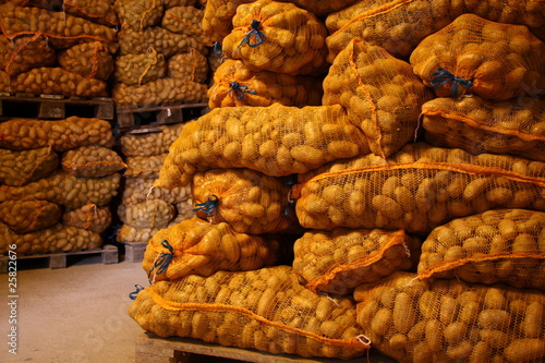 Photo: frische kartoffelernte frische kartoffelernte