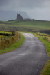 chateau irlandais