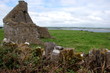 ruine irlandaise