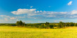 summer landscape
