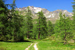 Alpi Ossolane Alpi Ossolane
