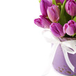 Pink tulips