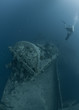 Scuba divers exploring Shipwreck SS Thistlegorm