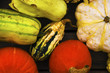 Foto: Kürbisernte vor Helloween Kürbisernte vor Helloween