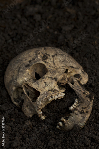Photo : Real human skull configured as dead body on soil as crime scene. Real human skull configured as dead body on soil as crime scene.