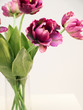 vase of flowers