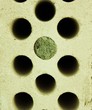 Mauerstein