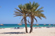 plage et palmiers