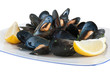 piatto con cozze - plate with mussels piatto con cozze - plate with mussels