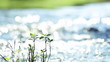 Glittering water. Close up