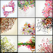 floral background