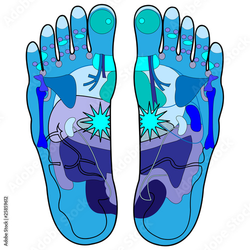 Vector: fußreflexzonen massage b fußreflexzonen massage b