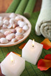 SPA composition