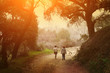 Two women walking under trees in scenic park at sunset.