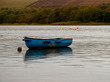 Blue Rowing Boat