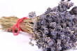 Bunch of dried lavender tied with a red string on white Bunch of dried lavender tied with a red string on white