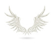 White wings